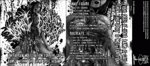 Anal Fissure : Ultra Raw Molestation for a Gay Band's Within the Scene Split Album